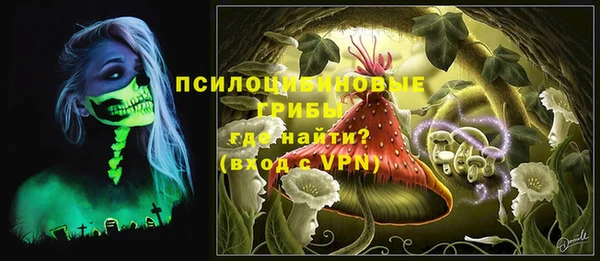 дмт Алексин